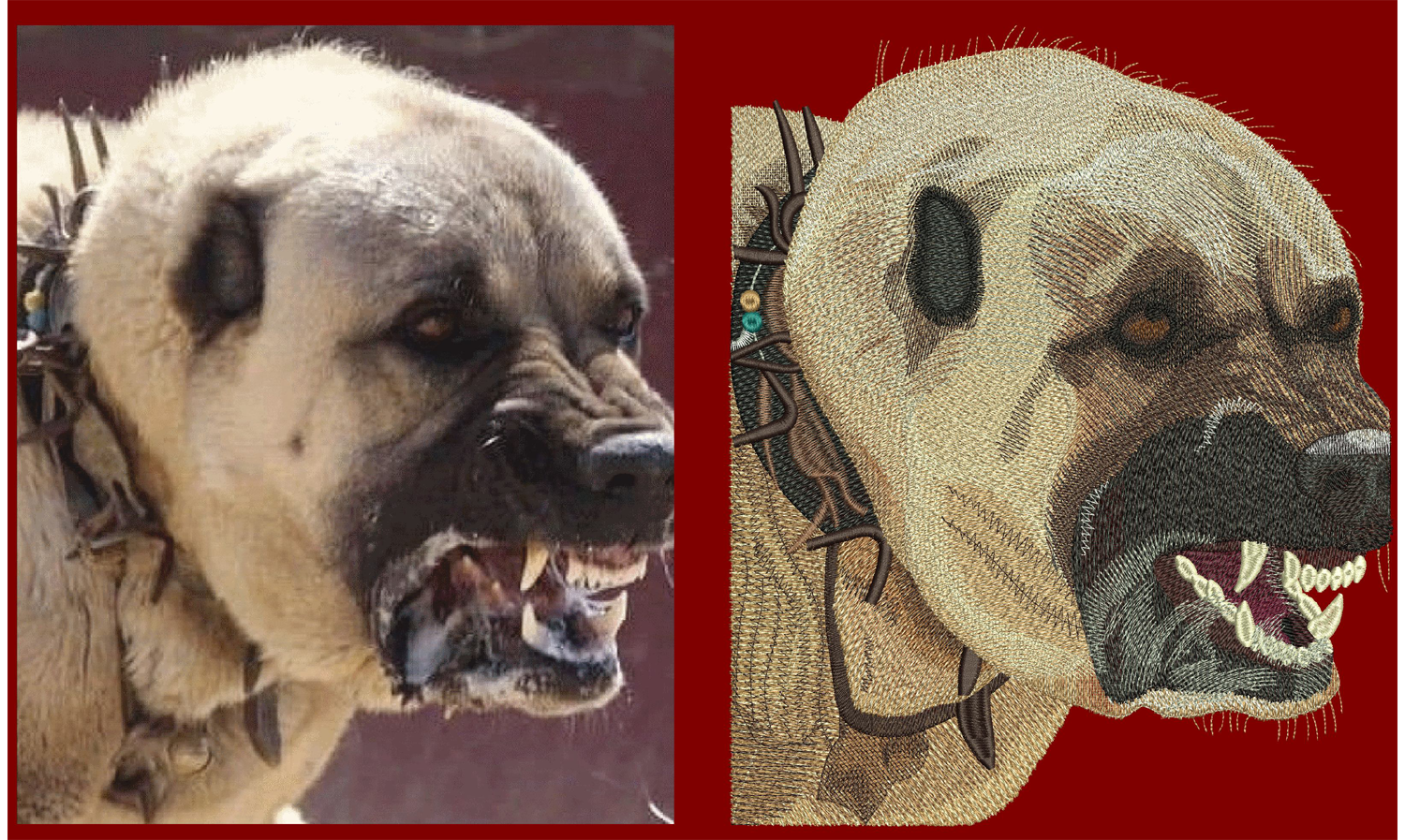 Kangal